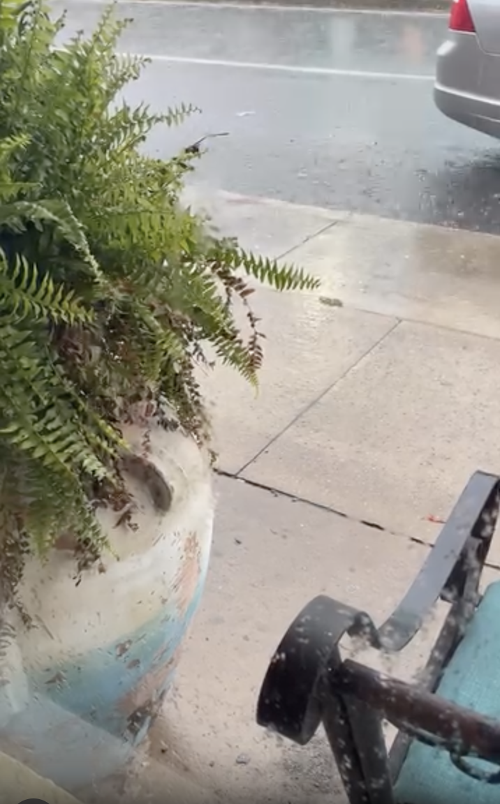 Dixieland and Rain